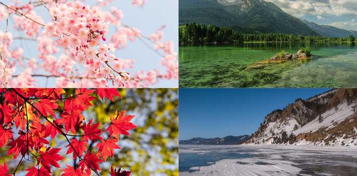 four-seasons-blooming-flowers-clear-lake-frozen-lake-red-maple-leaves