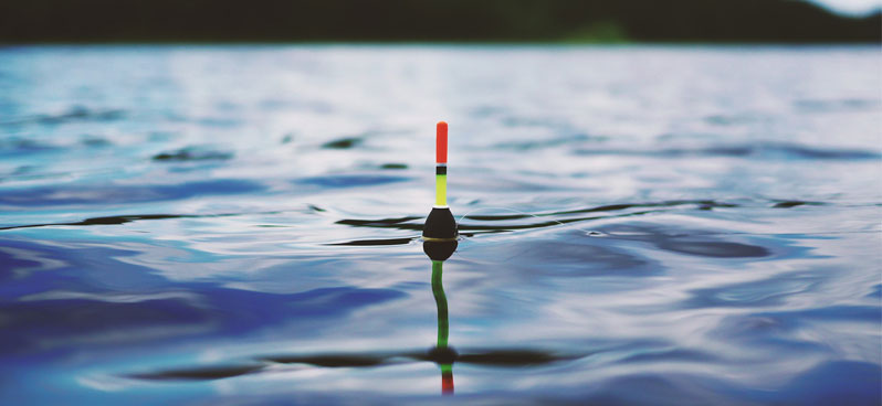 fishing-float-in-water